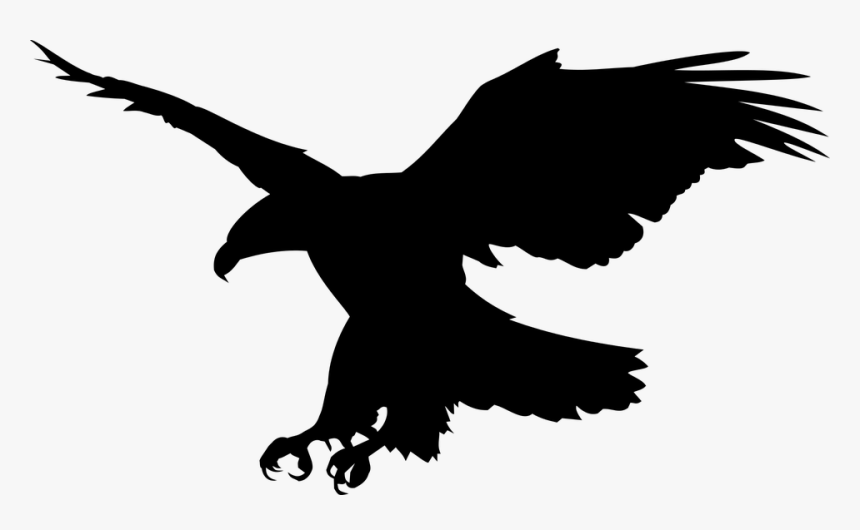 White Tailed Eagle Clipart Public Domain - Bald Eagle Png, Transparent Png