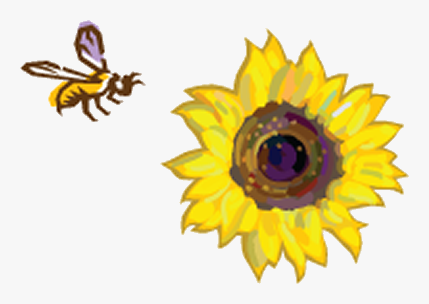 Sunflowers Clipart Bee - Sunflowers And A Bee, HD Png Download