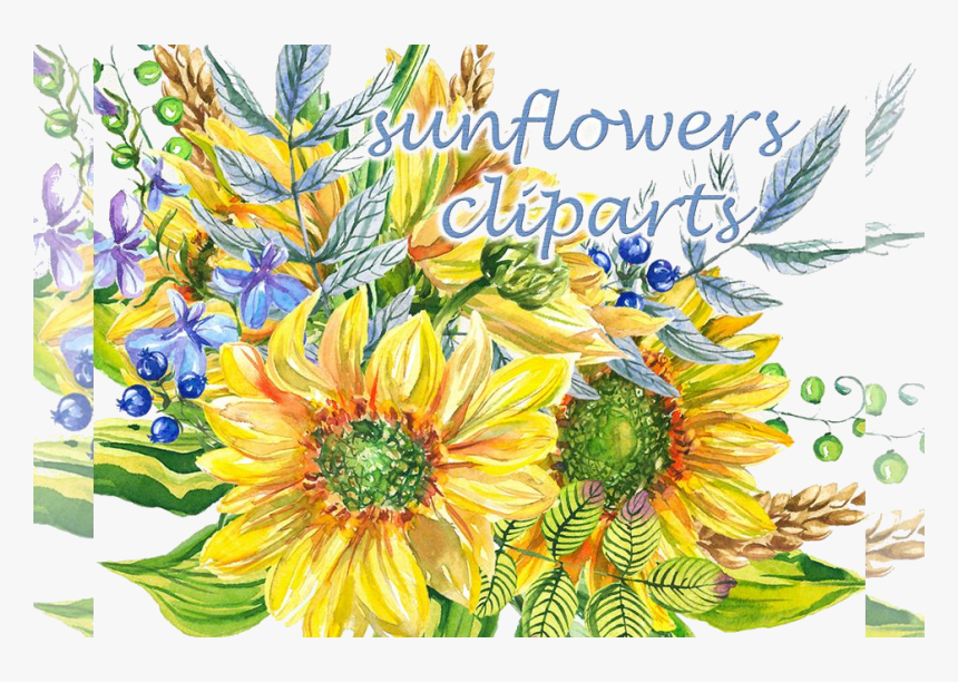 Sunflower Clipart Watercolor Floral Example Image Transparent - Sunflower, HD Png Download