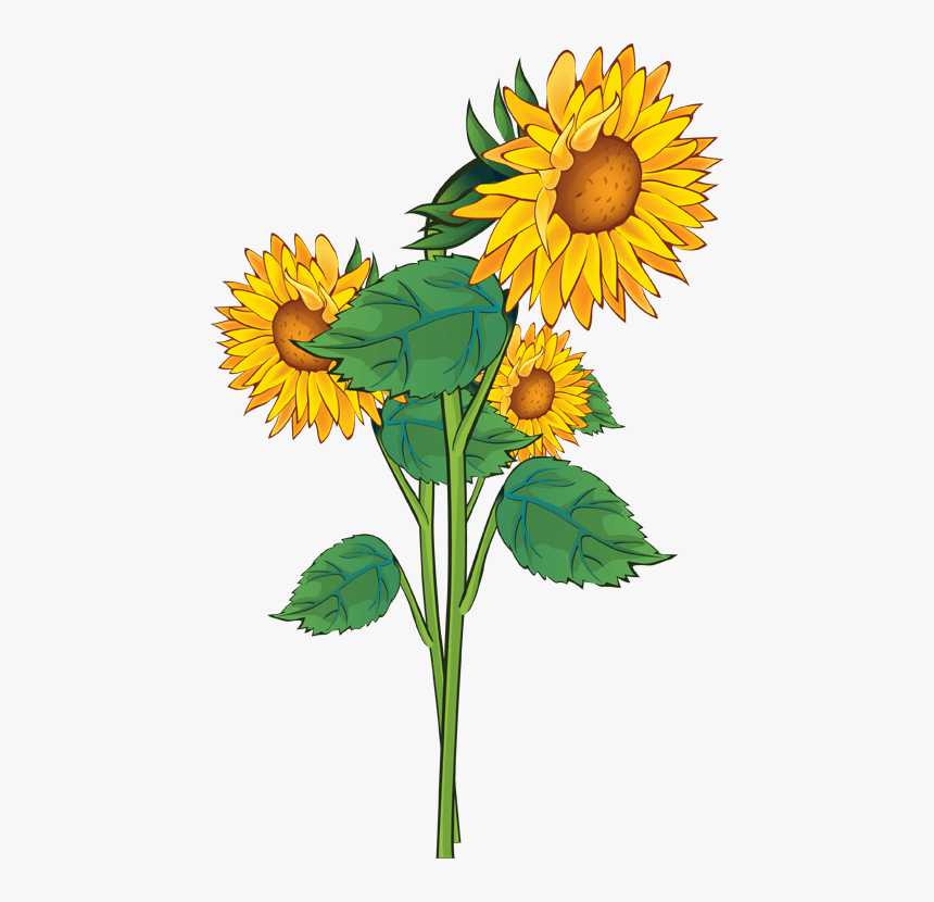 Sunflower Clipart, HD Png Download