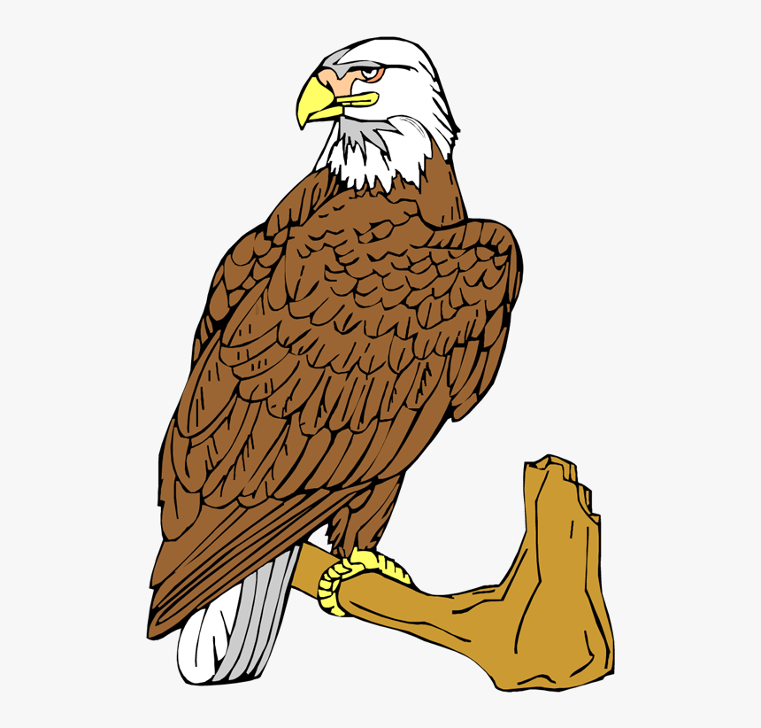 Free Eagle Clipart - Eagle, HD Png Download