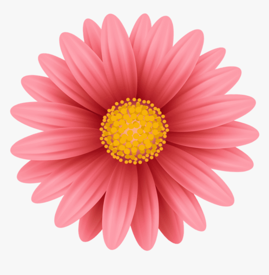 Free Png Red Flower Png Png Images Transparent - Pink Flower Png Hd, Png Download