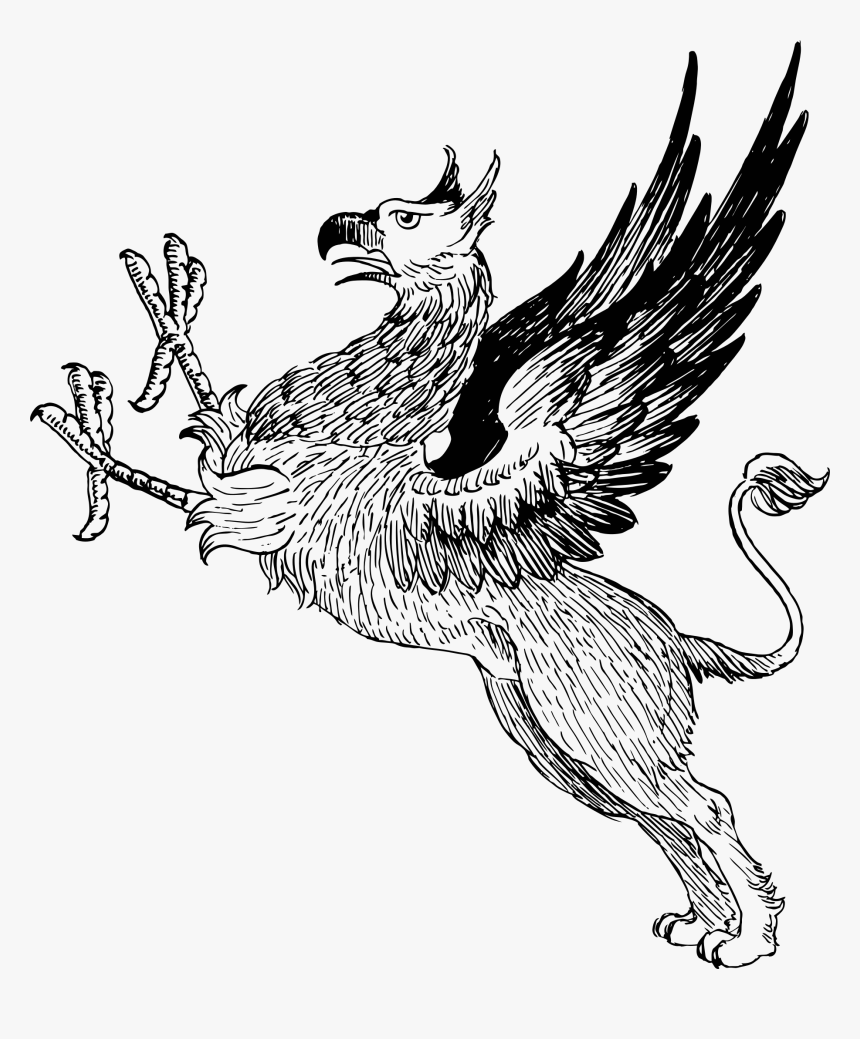 Vintage Griffin Line Art - Mythical Creature Clip Art, HD Png Download