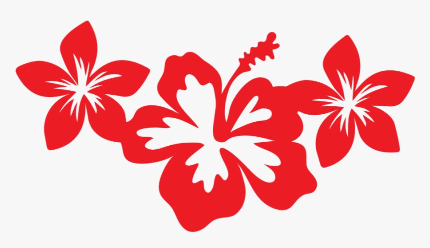 Hibiscus, HD Png Download