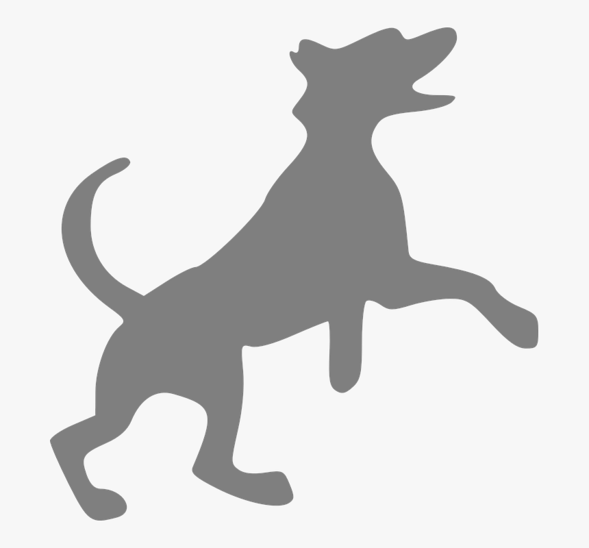 Dog, Grey, Canine, Happy, Jumping - Do We Hear Sound, HD Png Download