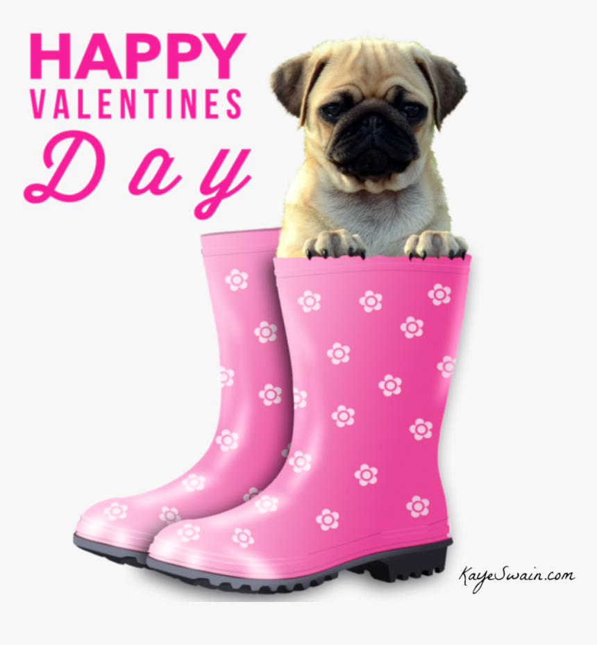 3 Kbytes, Photo - Happy Valentines Day Dog, HD Png Download