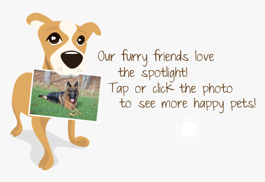 Companion Dog, HD Png Download