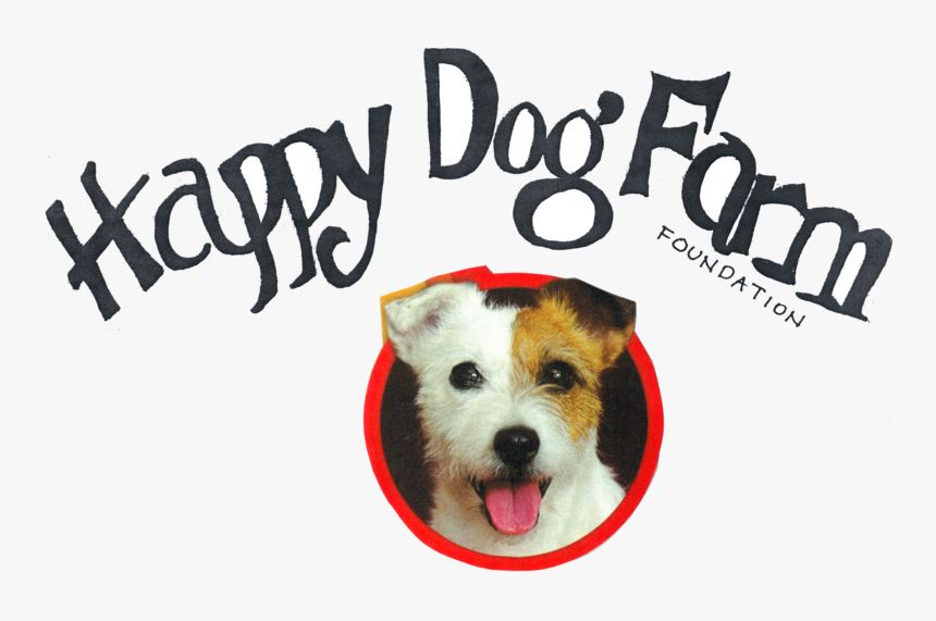 ג ק ראסל טרייר, HD Png Download