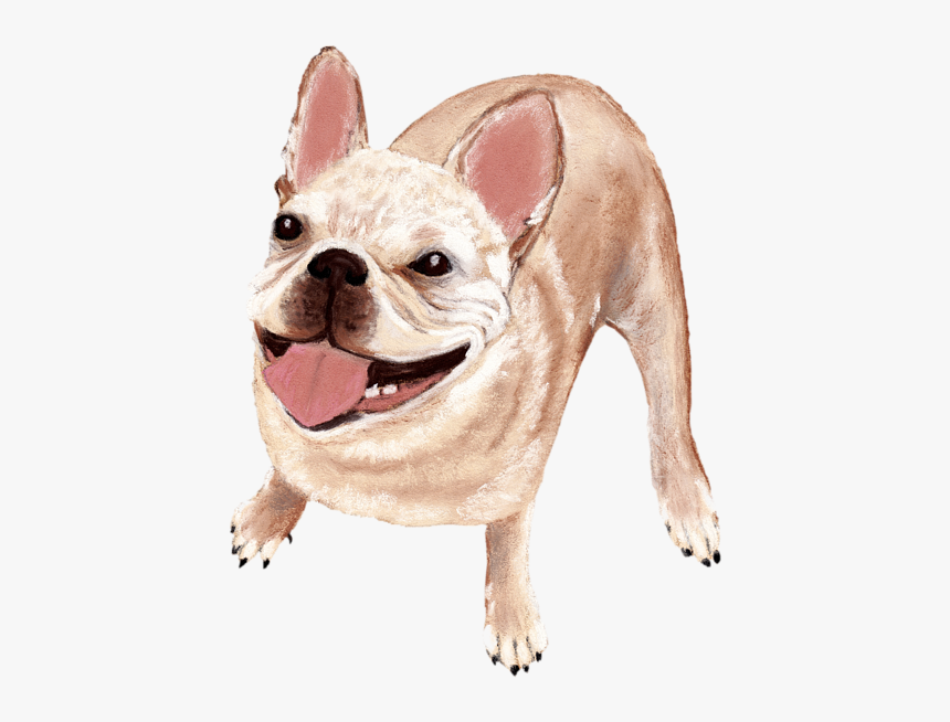 French Bulldog, HD Png Download