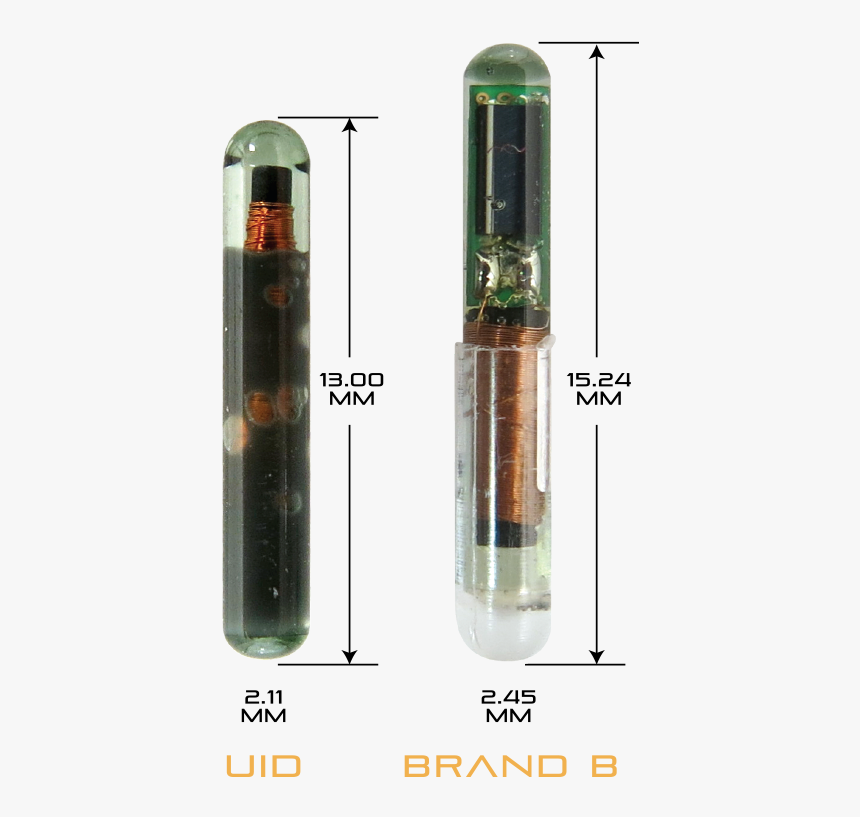 Bullet, HD Png Download