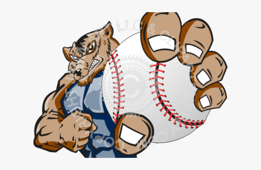 Transparent Supply Clipart - Gator Baseball, HD Png Download