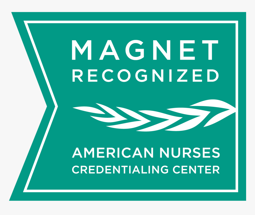 Recognition Logo Cmyk - Magnet Recognition, HD Png Download