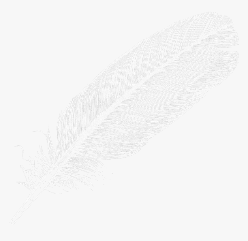 Feathered Arrow Png - Literary Criticism Charles Bressler Pdf, Transparent Png
