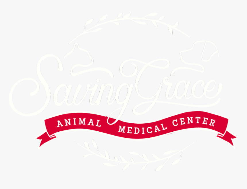 Saving Grace Animal Medical Center - Calligraphy, HD Png Download