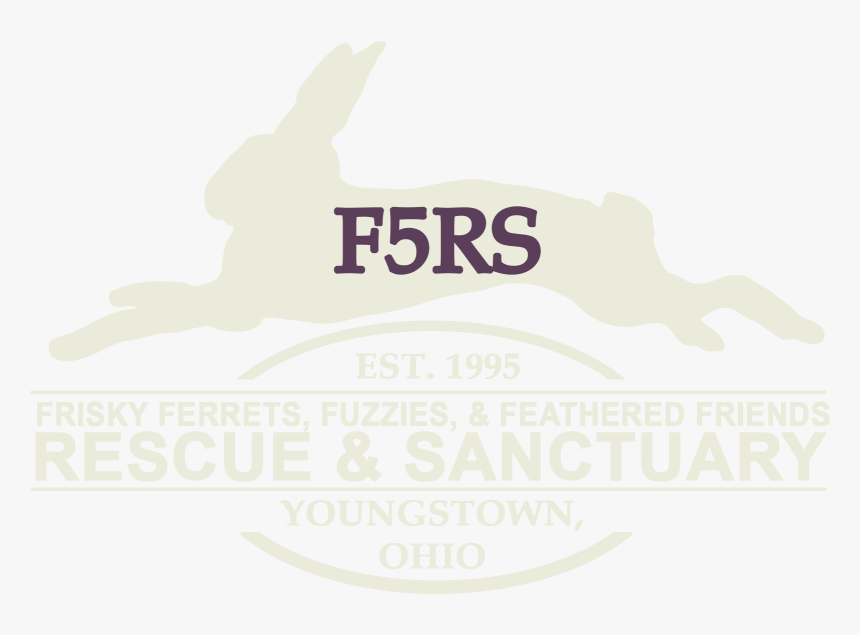 Frisky Ferrets, Fuzzies And Feathered Friends Rescue - Poster, HD Png Download
