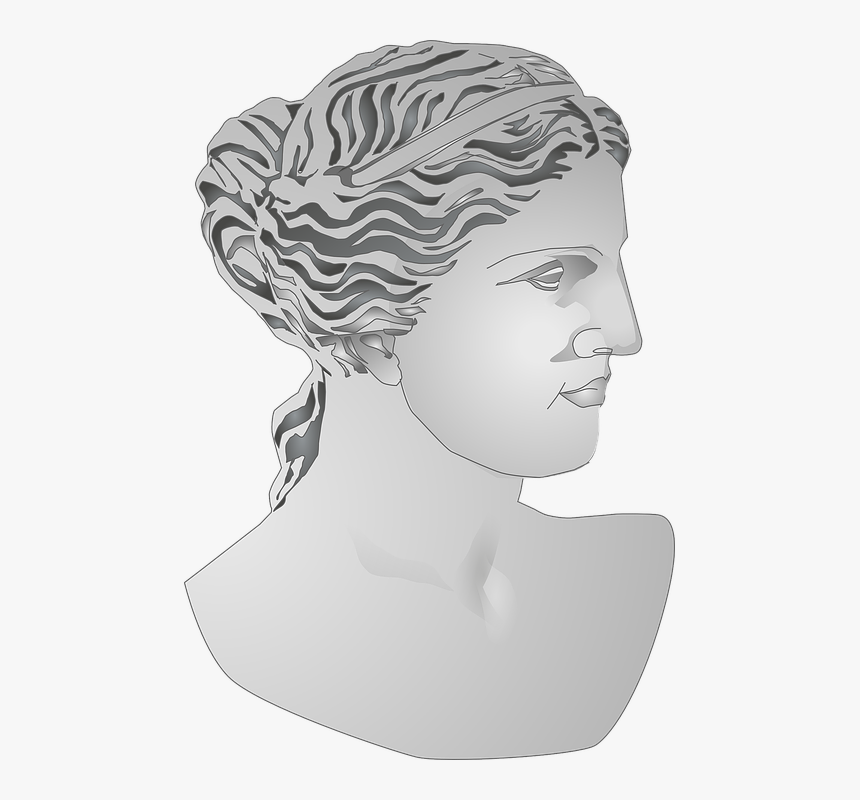 Bust, Roman, Statue, Woman, Sculpture, Marble Bust - Goddess Of Venus Profile, HD Png Download