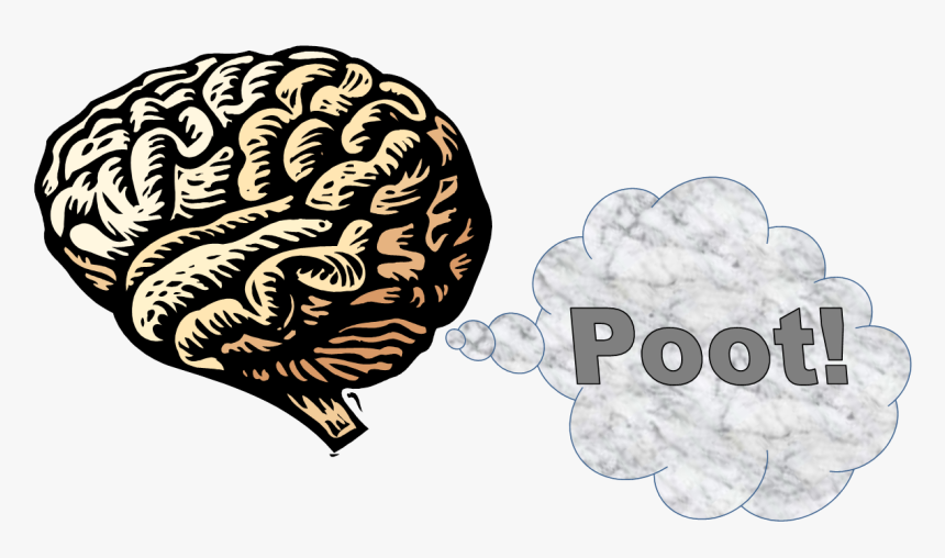 Brain-fart - Brochure On Nervous System, HD Png Download