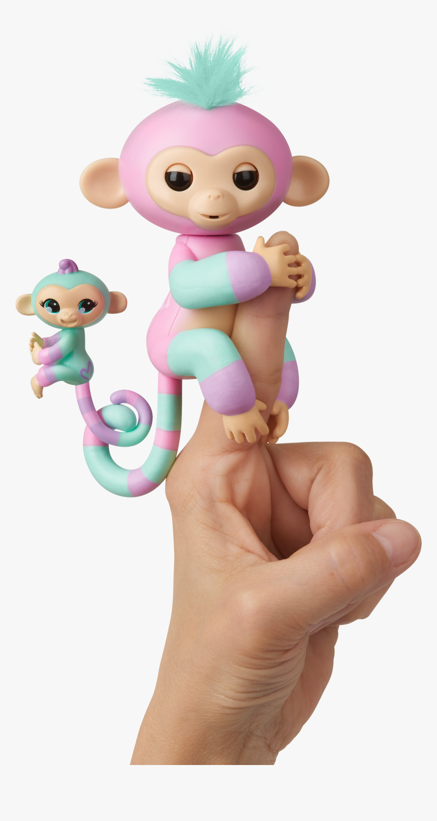 Baby Monkey Png, Transparent Png