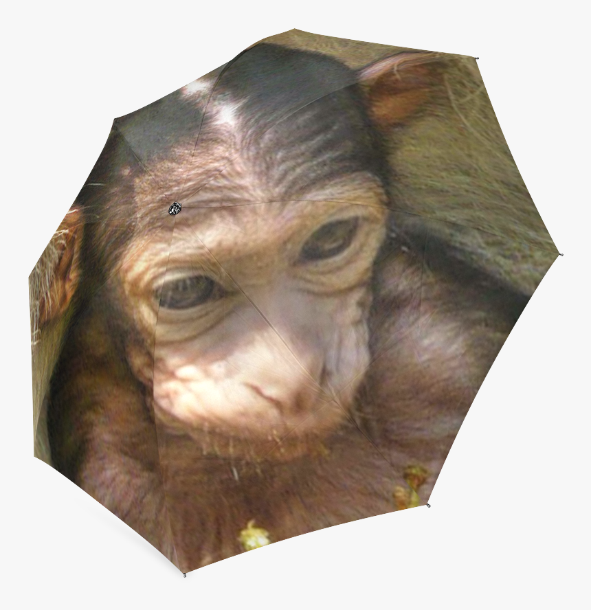 Sweet Baby Monkey Foldable Umbrella - Common Chimpanzee, HD Png Download