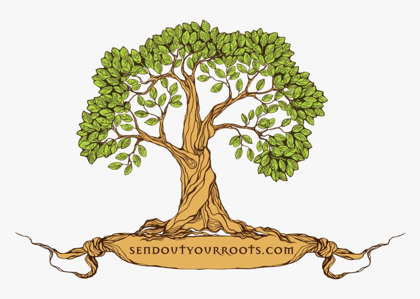Transparent Thorn Crown Png - Tree Family Reunion Png, Png Download