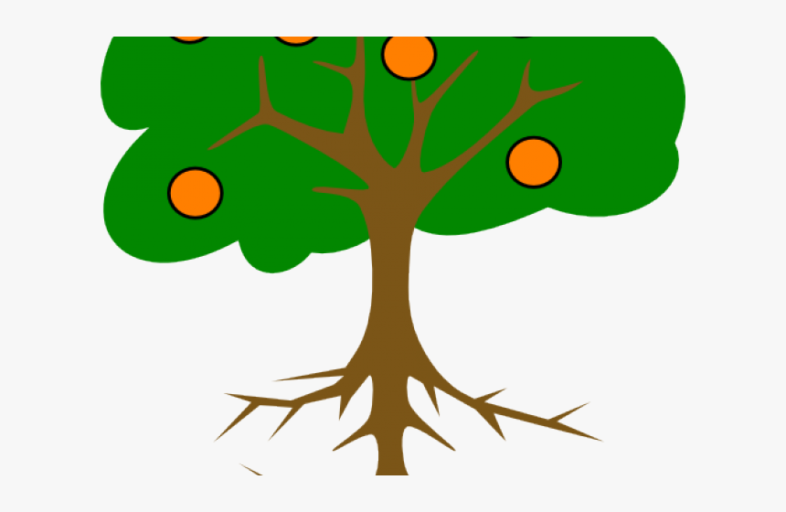 Tree Drawing With Fruits Clipart , Png Download - Name Of Tree Part, Transparent Png