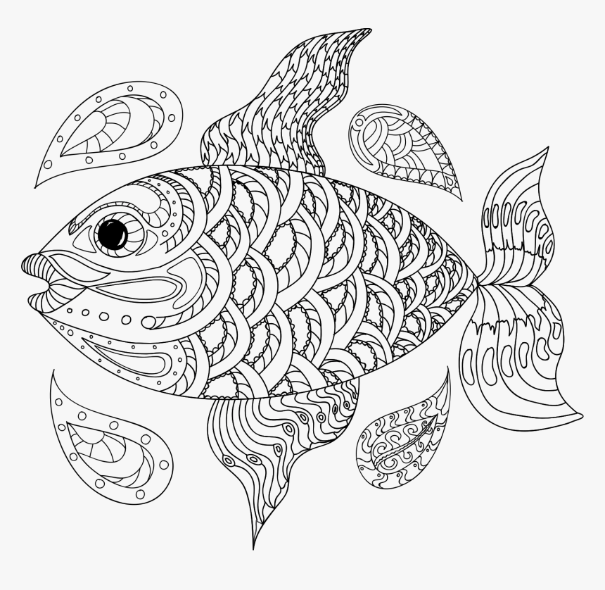 Hand Drawn Fish Clip Arts - Line Art, HD Png Download