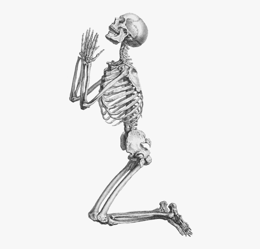 Skeleton Hand 1png - Praying Skeleton Png, Transparent Png