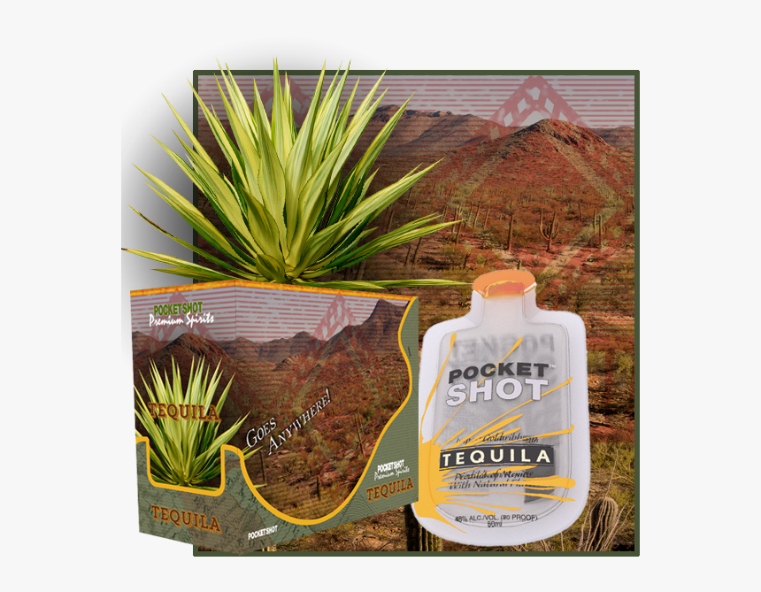 Agave Azul, HD Png Download