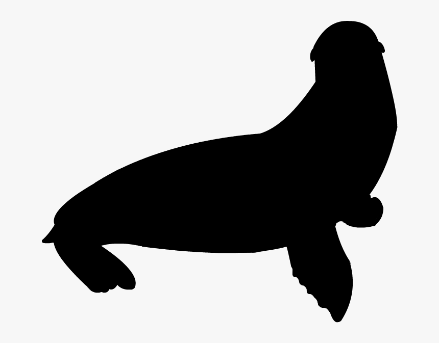 California Sea Lion Silhouette By Grandechartreuse - Sea Lion Silhouette Vector Free, HD Png Download