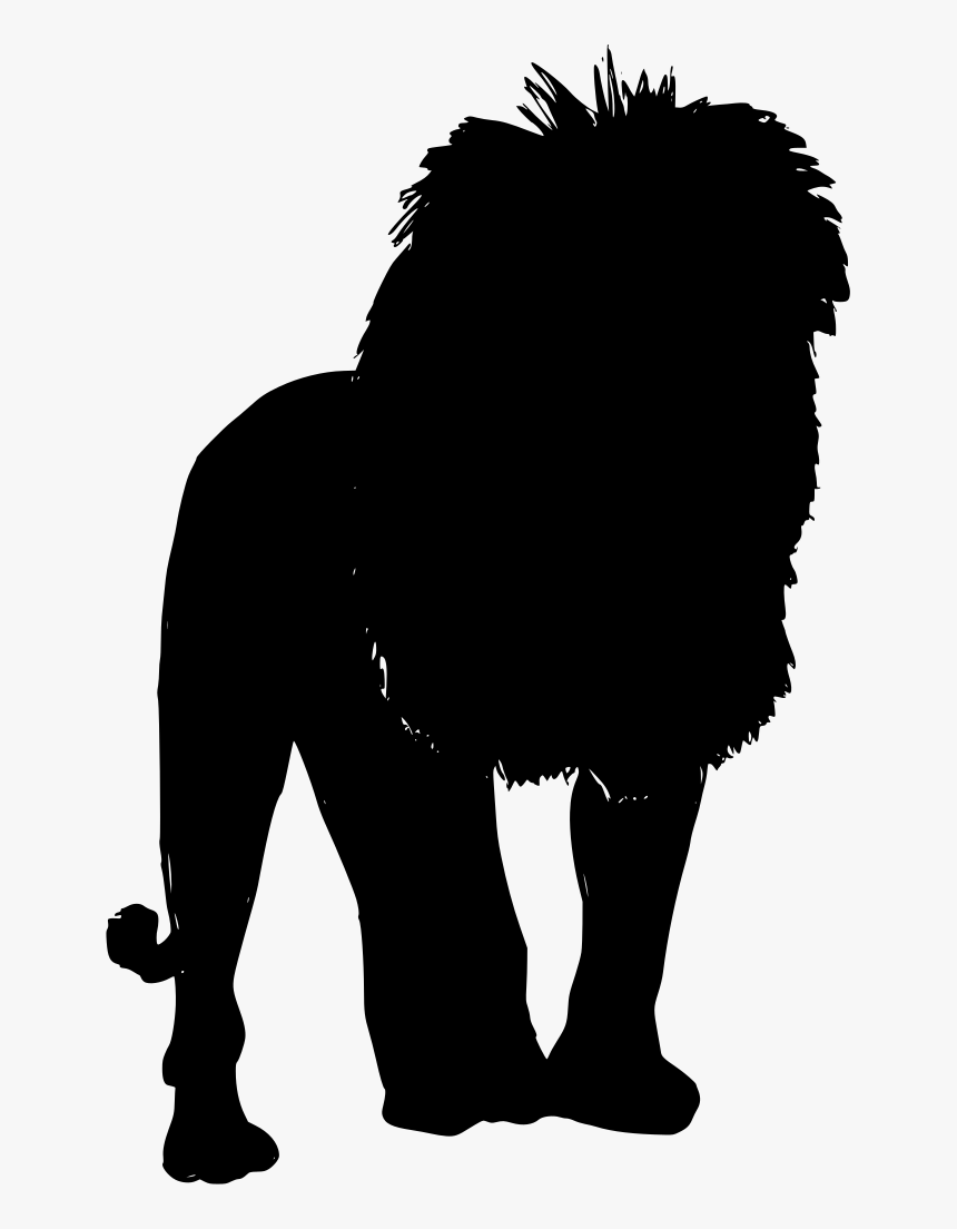 Lion, HD Png Download