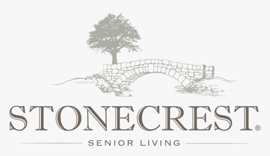 Transparent Gold Shine Png - Nadira, Png Download