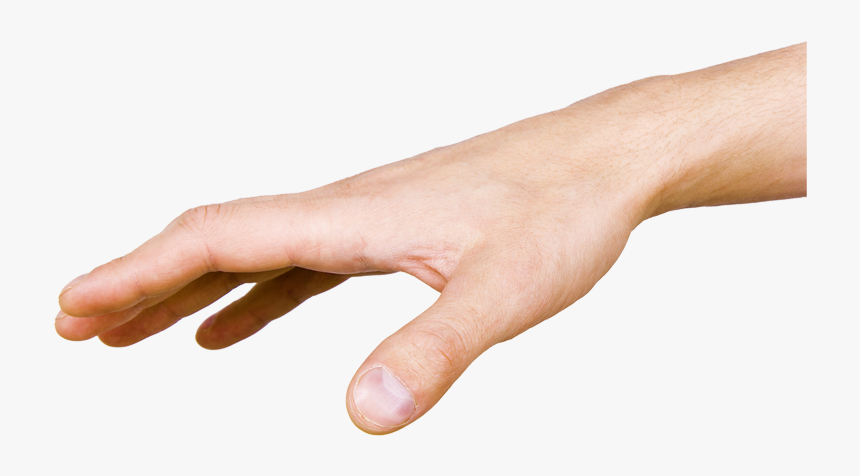 Drawing Royalty-free Model Sheet - Hand Reaching Out Png, Transparent Png