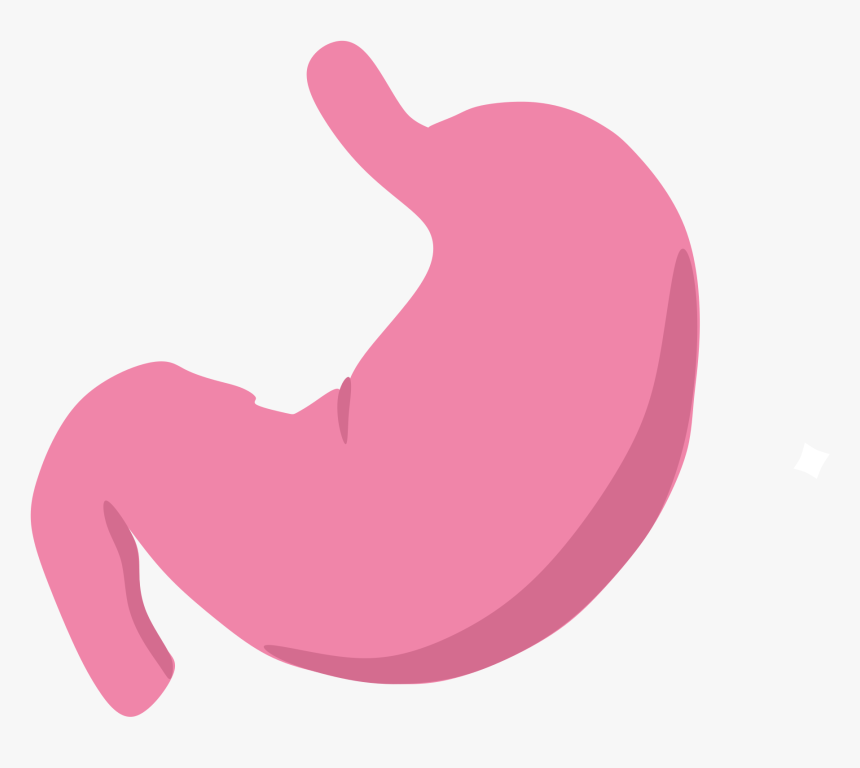 Transparent Stomach Pain Clipart - Transparent Stomach Clipart, HD Png Download