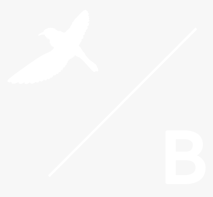 Seabird, HD Png Download