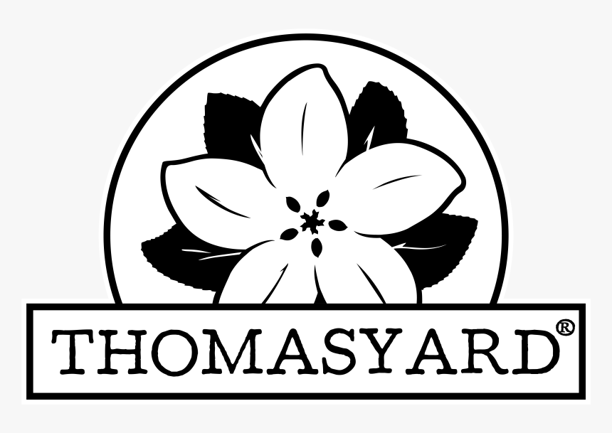 Florist, Garden Center And Gift Shop Located In Thomas, - Floral Design, HD Png Download