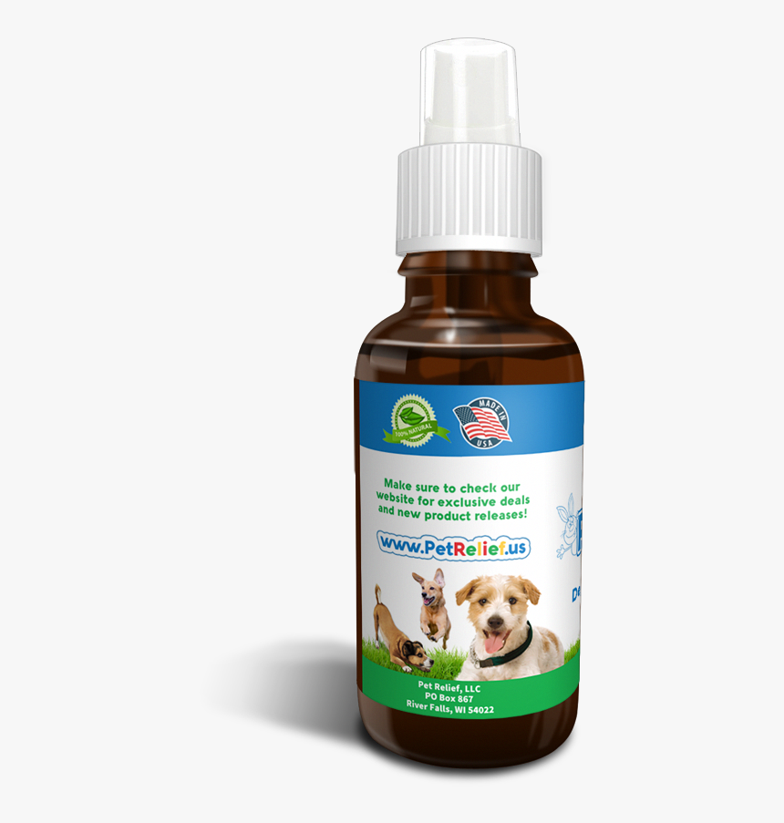 Transparent Sad Dog Png - Companion Dog, Png Download