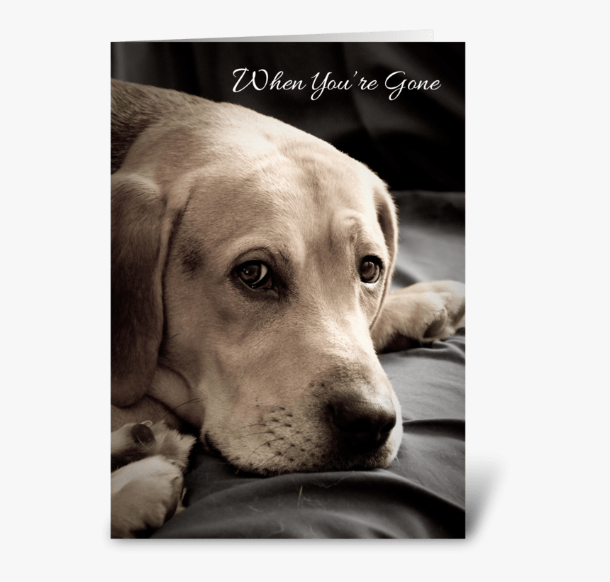 Missing You Sad Dog Greeting Card - Dog With Missing You, HD Png Download
