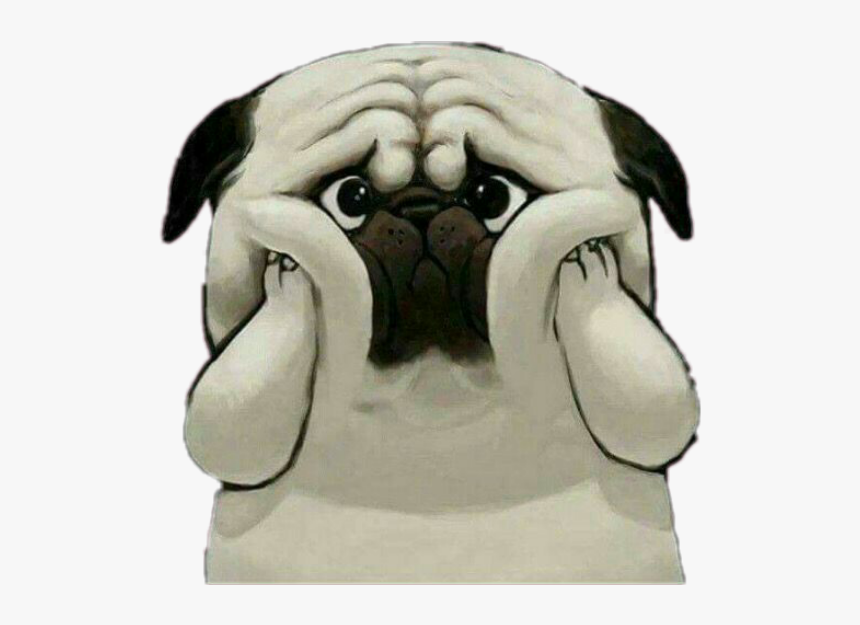 #cute #dog #sad #shocked - Cute Dog Images Hd Download, HD Png Download