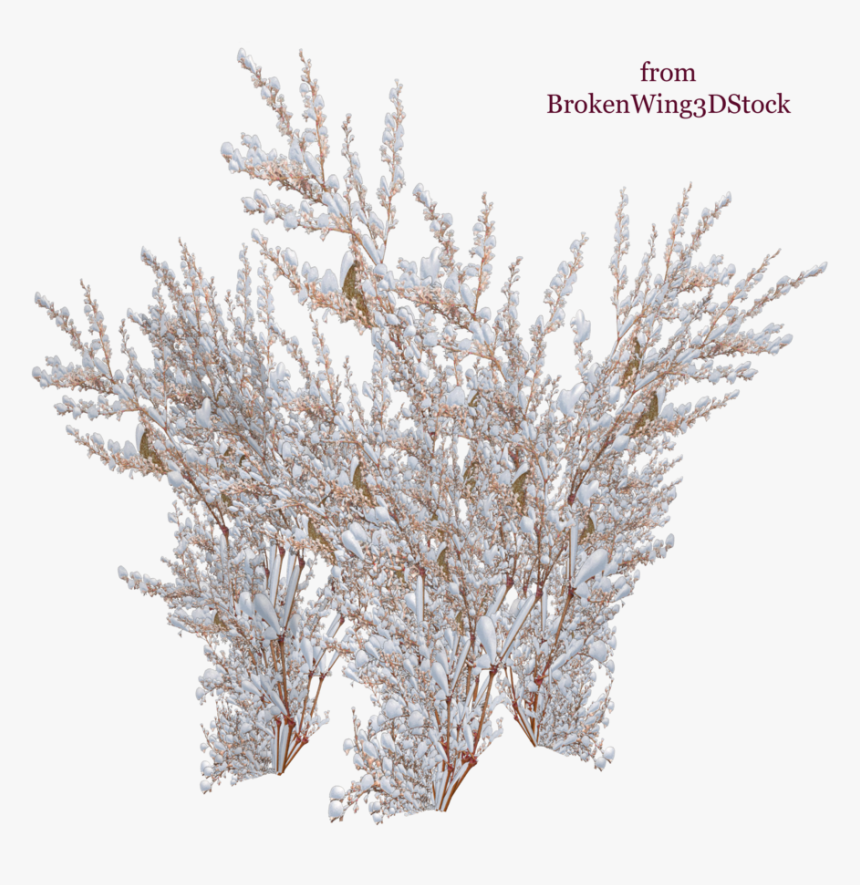 The Snow On The Tree , Png Download - Snow Covered Bushes Png, Transparent Png