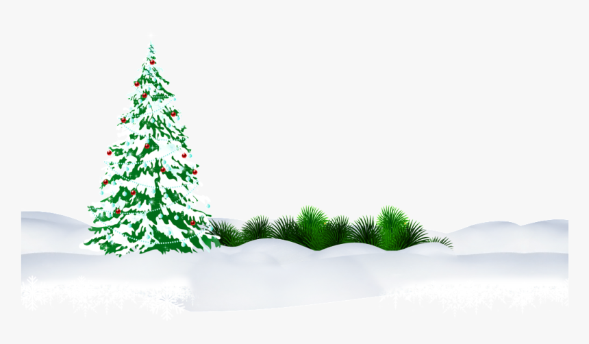 Green And Snowy Christmas Png - Christmas Tree, Transparent Png