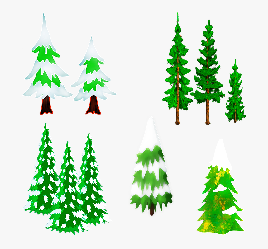 Christmas Pine, Snow Trees, Trees, Christmas, Snow - Pino Con Nieve Png, Transparent Png