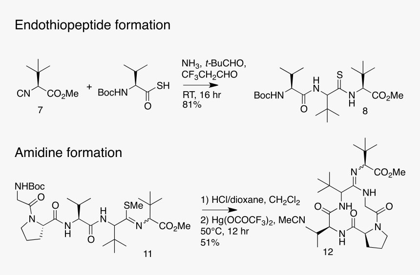 Key Steps In Alternative Macrocycle Synthesis - Macrocycle Synthesis, HD Png Download