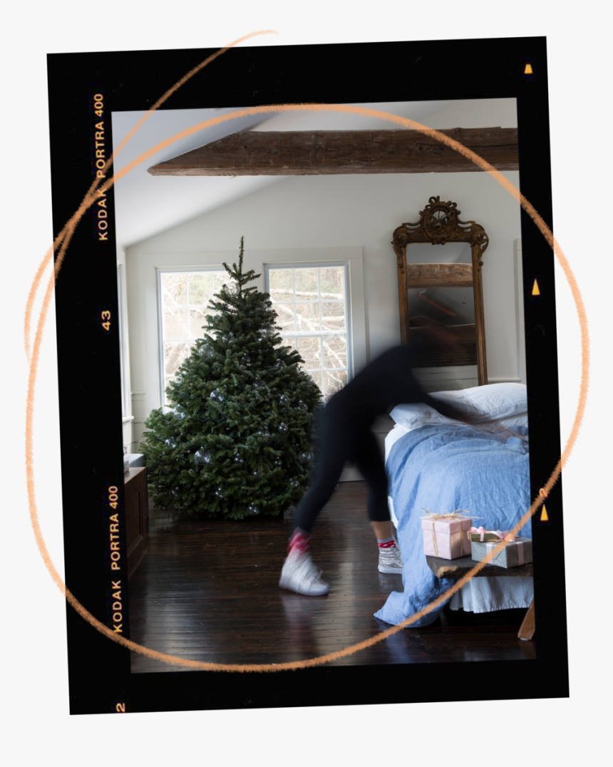 Home Package - Christmas Tree, HD Png Download