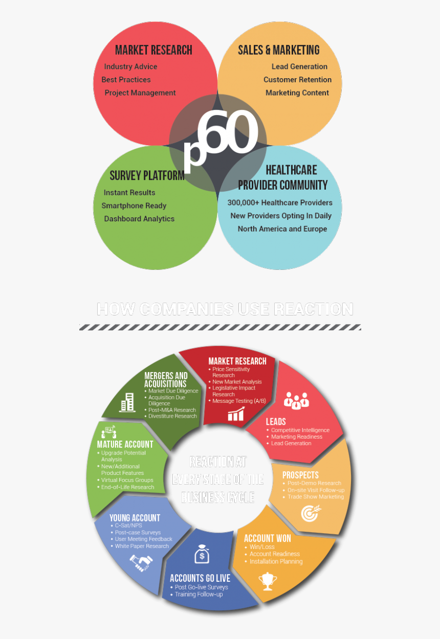 Circle, HD Png Download