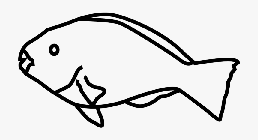 Coral Reef Fish, HD Png Download