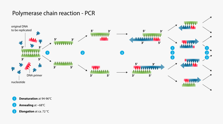 Reaction Png, Transparent Png