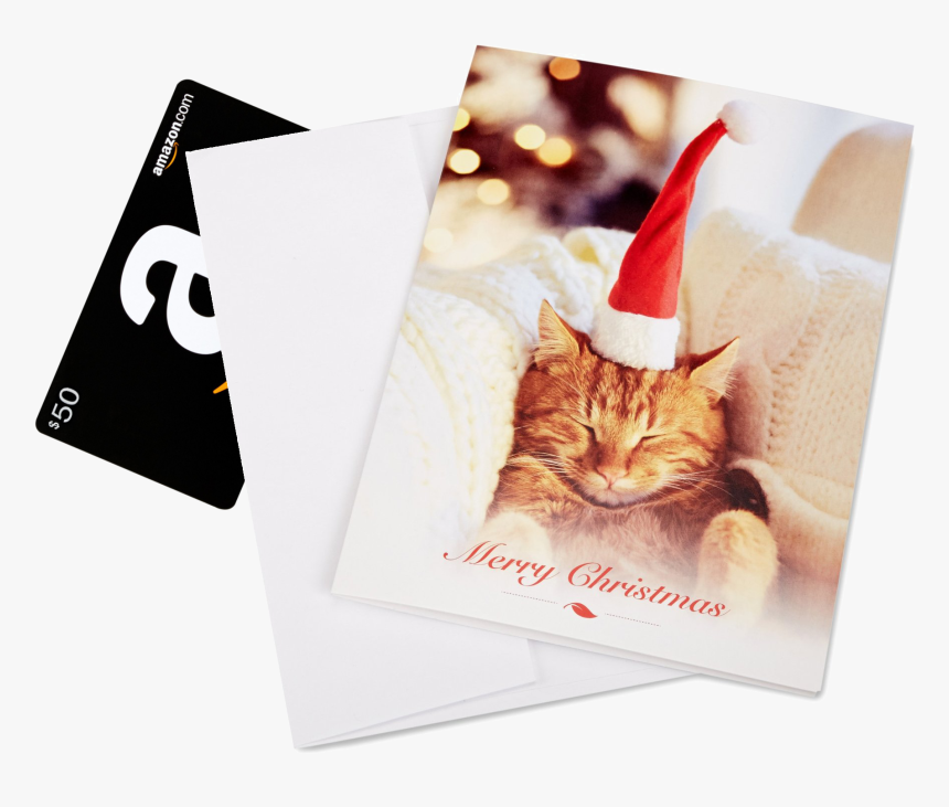 Tabby Cat, HD Png Download