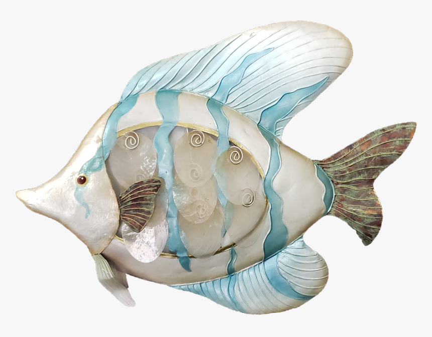 Seaside Tropical Fish Wall Art - Conch, HD Png Download