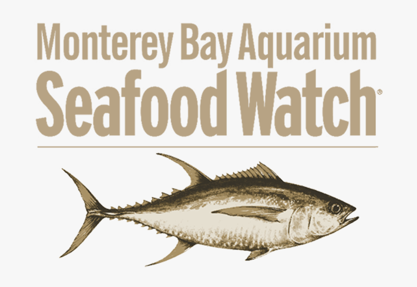 Https - //thelobstertrap - - Seafood Watch, HD Png Download