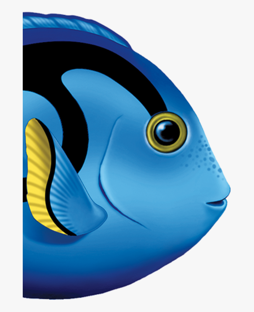 Blue Tang Fish Clipart, HD Png Download